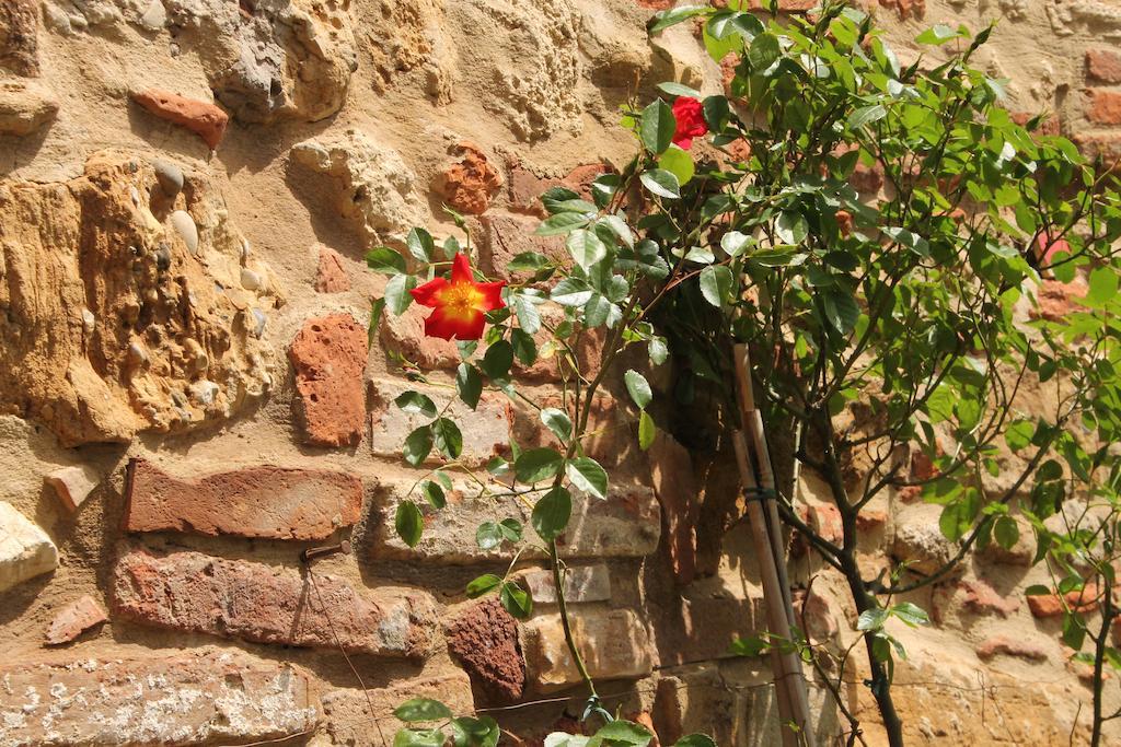 La Corte Segreta Montepulciano Stazione Exteriör bild